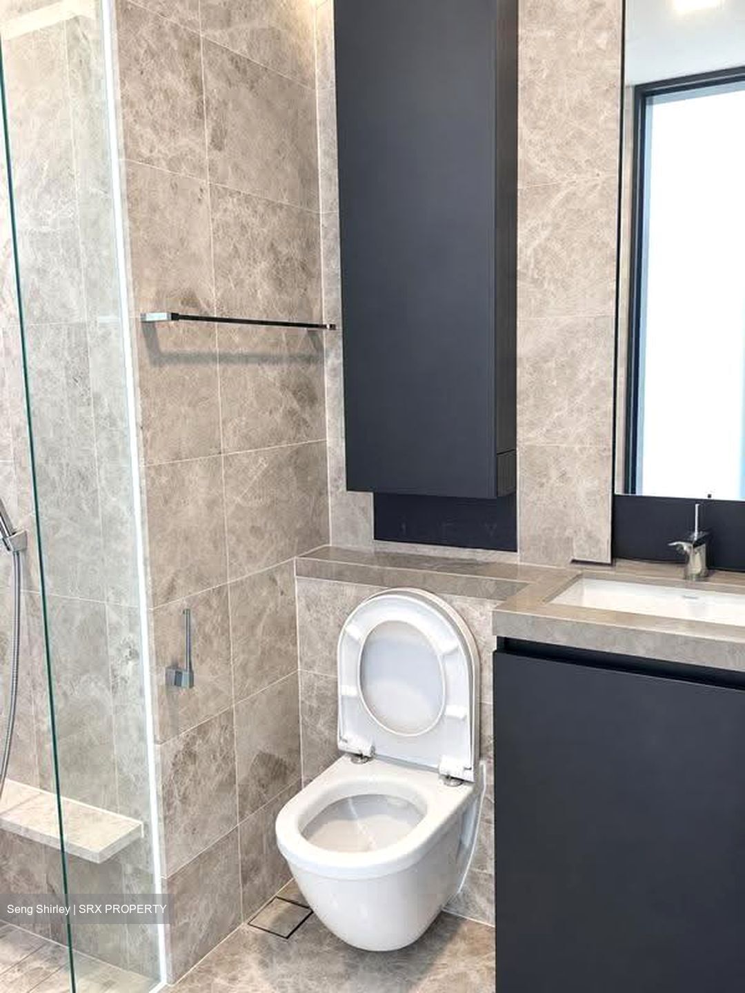 Skysuites@Anson (D2), Apartment #620235361
